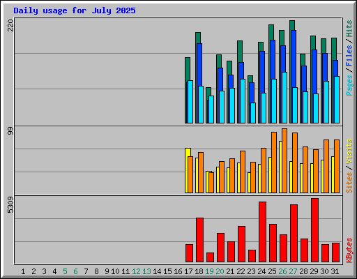 Daily usage for July 2025