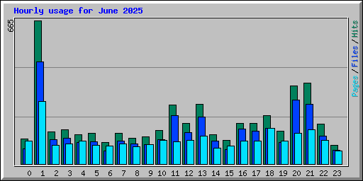 Hourly usage for June 2025