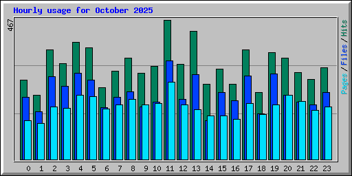 Hourly usage for October 2025
