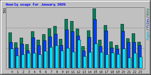 Hourly usage for January 2026