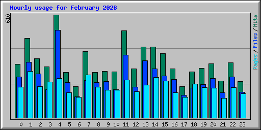 Hourly usage for February 2026