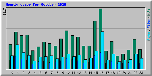 Hourly usage for October 2026